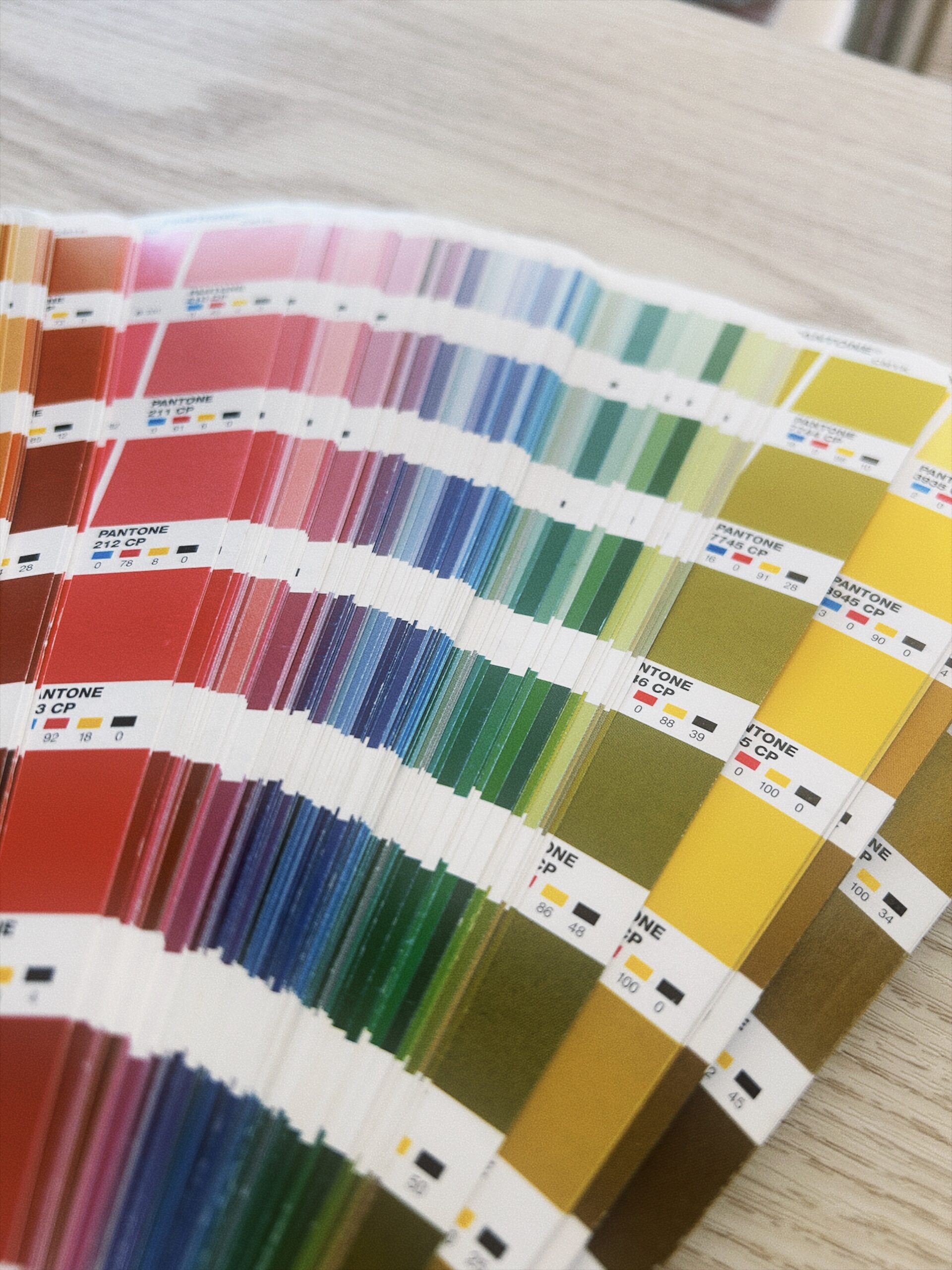 a flat lay of pantone color swatches